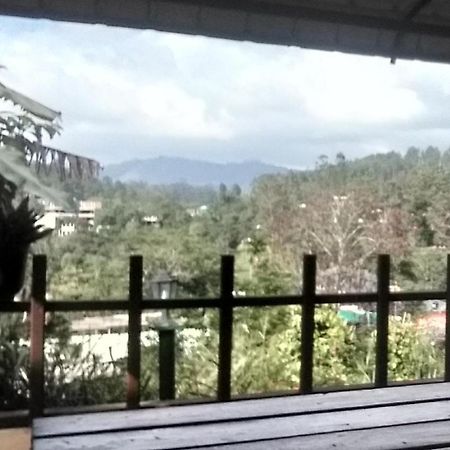 All Joys Ella Εξωτερικό φωτογραφία